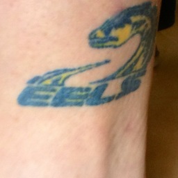 Proud Parramatta Eels & NSW Blues fan.