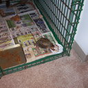 terry schaffer - @Gltdawg80Terry - Twitter