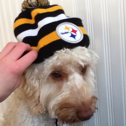 mattwalker56's profile picture. Always go for ur dreams just dont wake up and they will come true.