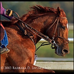 owner Denali Stud Paris, Ky. wife Holly, children Katherine, Conrad, Isabel