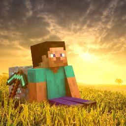 Youtuber & Gamer
Minecrafter