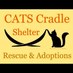 CATS Cradle Shelter (@catscradleadopt) Twitter profile photo