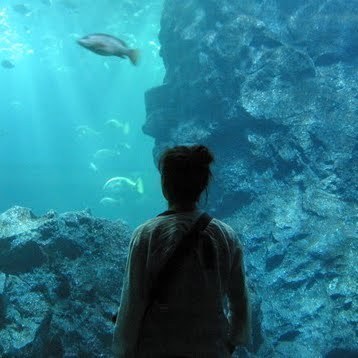 pau_evelyn's profile picture. 