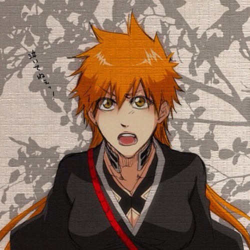 Name: Ichigo Kurosaki Age: 17 Occupation: Shinigami Daiko/HighSchool Student I will protect my friends and family *[Fem]*||Taken:@BerryDaiko