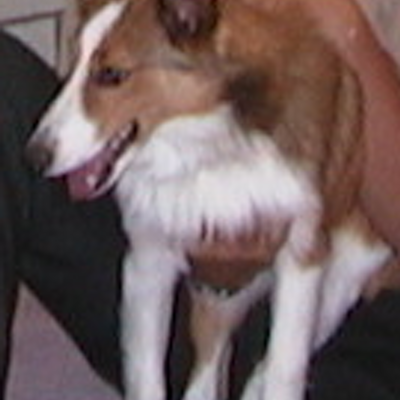 RoswellBeau's profile image