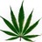 StonersSaid's profile image