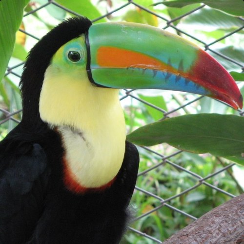 notoriousjesus's profile picture. Dont punch old people... or should you?