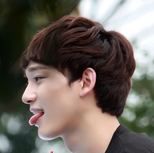 Kim Jongdae of EXO-M ↷18th PHOENIX OF XANTHHOLLOW № September 21 1992