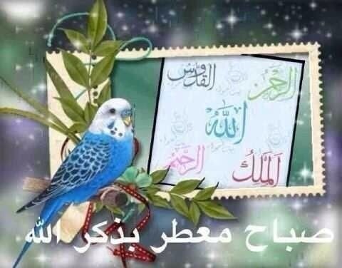 الله يرحم والديني