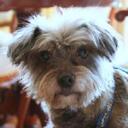 elisa robledo - @elisarobledo4 - Twitter