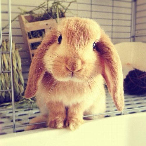 fuufude_buppan's profile picture. 夫婦でネットビジネスをしてます！
雑誌ビッグトゥモローに取材されました！
Twitter&Facebook友達申請大募集中です(^^)