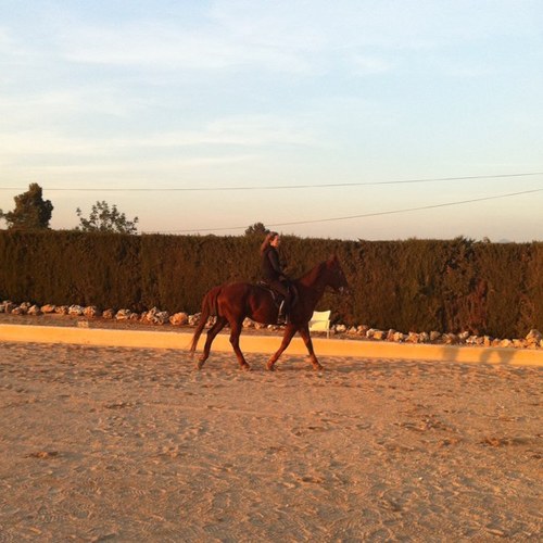 JZabalaDelgado Profile