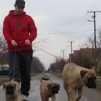 Pele Caba (@pelecaba) 's Twitter Profile