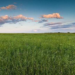 JoodyS0's profile picture. 