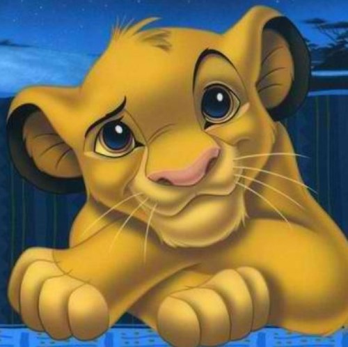 Cest moi Simba, cest moi le roi, de la jungle animal !