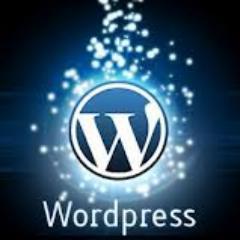 I am an WordPress theme provider for all type of business and professional website