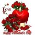 Sharmi siraj (@sirajsharmi) Twitter profile photo