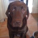 David Burman - @carpingcrazy - Twitter