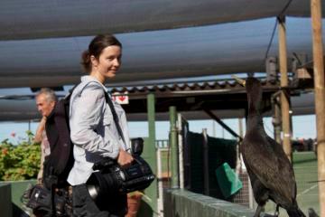 Alicatinbrizzle's profile picture. Shooting PD based in Bristol. Noted cheese and animal fan!