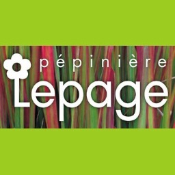 Le spécialiste français de la #plante #vivace. #fleurs #herbe #terre #Pepiniere #Leapge