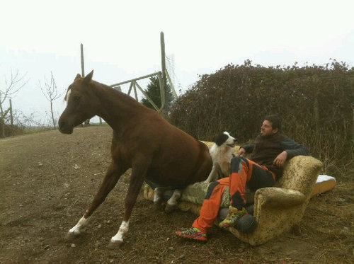 VETPAZ's profile picture. Profesional enamorado de mi llano, como dice un gran cantante y compositor; SI EL CIELO ES UN PARAISO TENDRA QUE TENER UN LLANO.