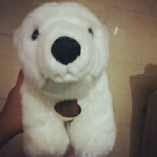 KETUPATNYA ISTRINYA DIA YANG SELALU DITUTUPIN PAKE BKN(?) NAH, LHO. PLIS, DEH, YAK._... ALDWKDVNSDSTN22!