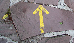 pompeo_volpe's profile picture. Italian (1955); M.D. degree, University of Padova (1979), Professor of general Pathology, @UniPadova. Mayor of Mira (1993-1997)