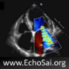 Online education in echocardiography.