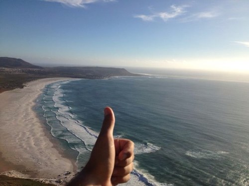 MattMNewt's profile picture. 