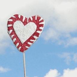 ryu_jongchan's profile picture. 