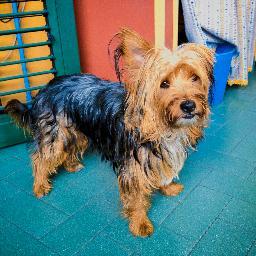 ChiaraSRossi's profile picture. Follow Back :)