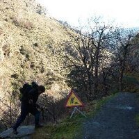 Francesco Cardinale (@testadicardi) Twitter profile photo