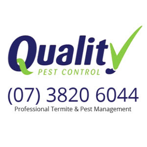 For the last 25 years, Quality Pest Control have been assisting home owners and government departments with Pest and Termite Control Solutions.