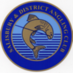 S&DAC (@salisburydac) Twitter profile photo S&DAC (@salisburydac) Twitter profile photo