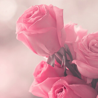 a31273849's profile picture. No DM plz☺