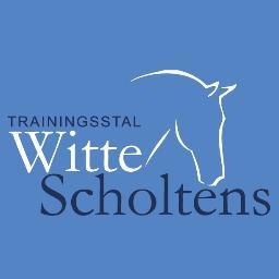 Dressuur en trainingsstal Witte Scholtens