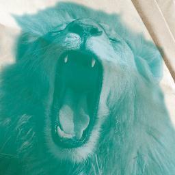 BRONKSXL's profile picture. 