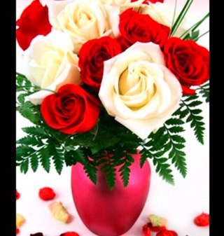 kadeee132's profile picture. 