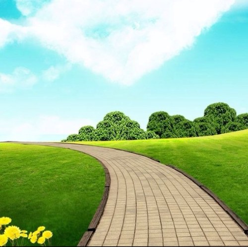 chatbijaouad's profile picture. 