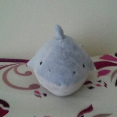 fat shark plush