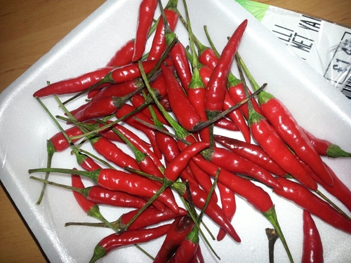 bgrieve72's profile picture. 