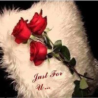 Carrie Rodriguez (@youreacookie) 's Twitter Profile