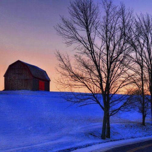 tcpip_freely's profile picture. 