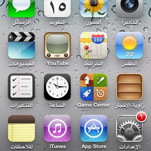 HammamHamdy's profile picture. 