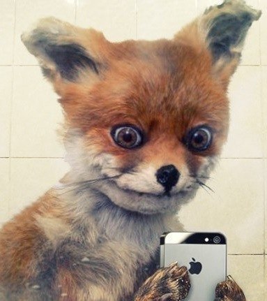 fhfysnfyfy's profile picture. взаимный фоллоувинг:D