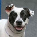 Cathy Irwin - @nightbirdrocks - Twitter