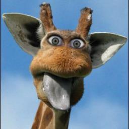 zhengbinx's profile picture. Regulatory Affairs Professional