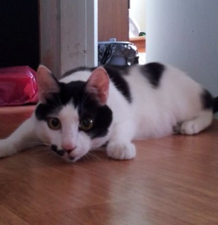 ranian_jung's profile picture. Hey Hey Hey