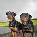 sarah towers - @saraht8354 - Twitter