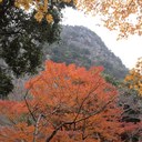 とっこ (@05to13) Twitter